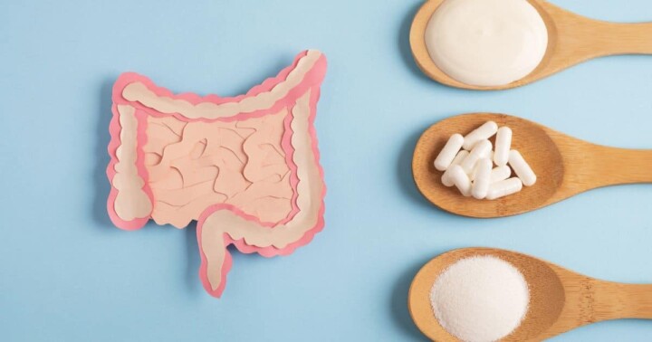 Understanding Gut Microbiome Health and Metabolism Connection