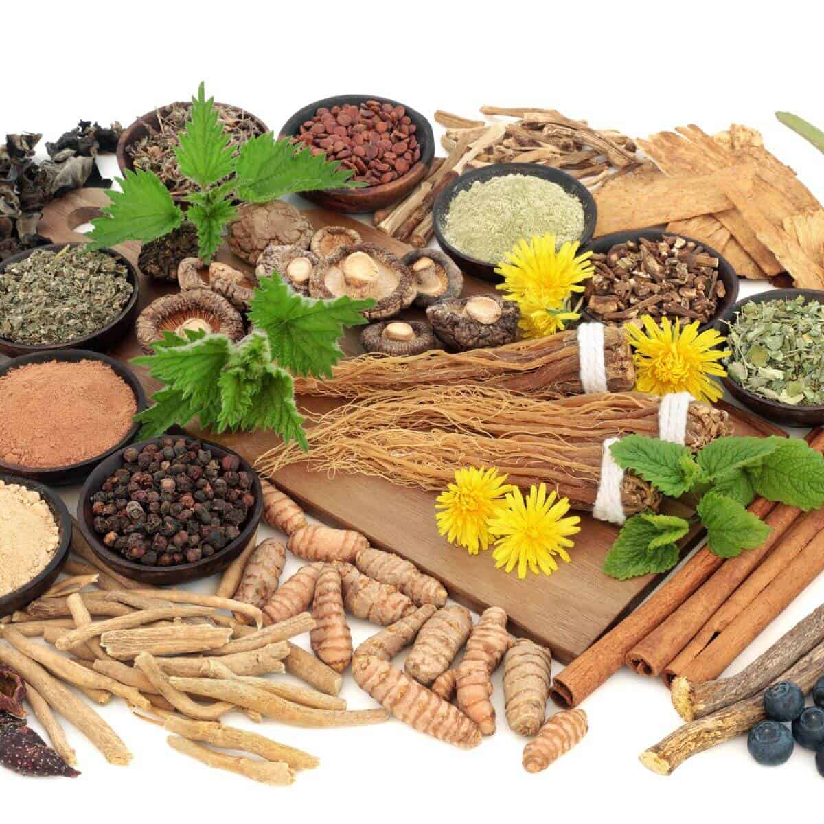 What are adaptogens, known as adaptogenic herbs?