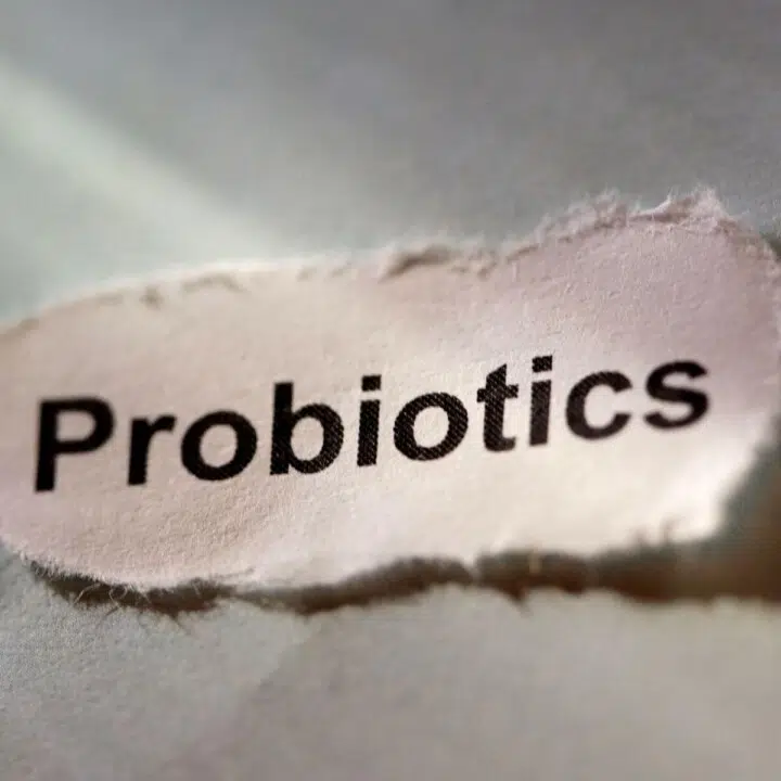 how probiotics help immune system