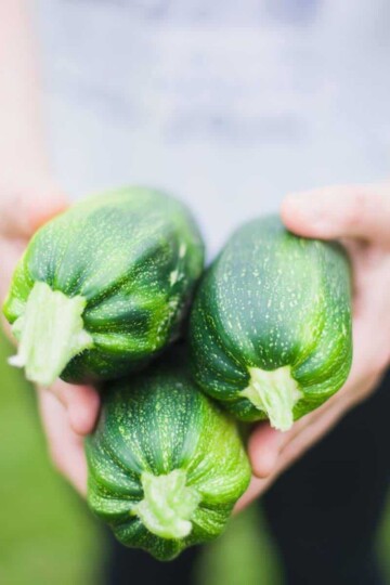 Eating zucchini for health and beauty benefits.