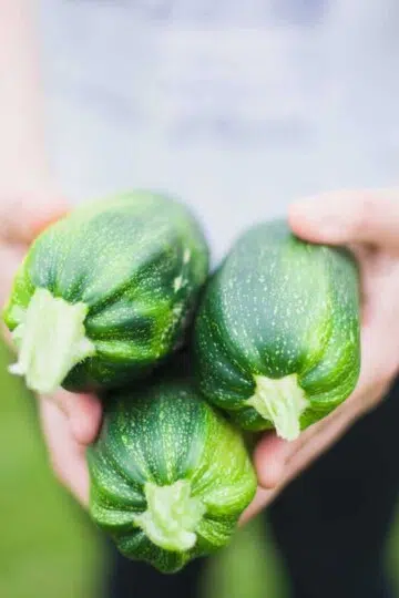 Eating zucchini for health and beauty benefits.