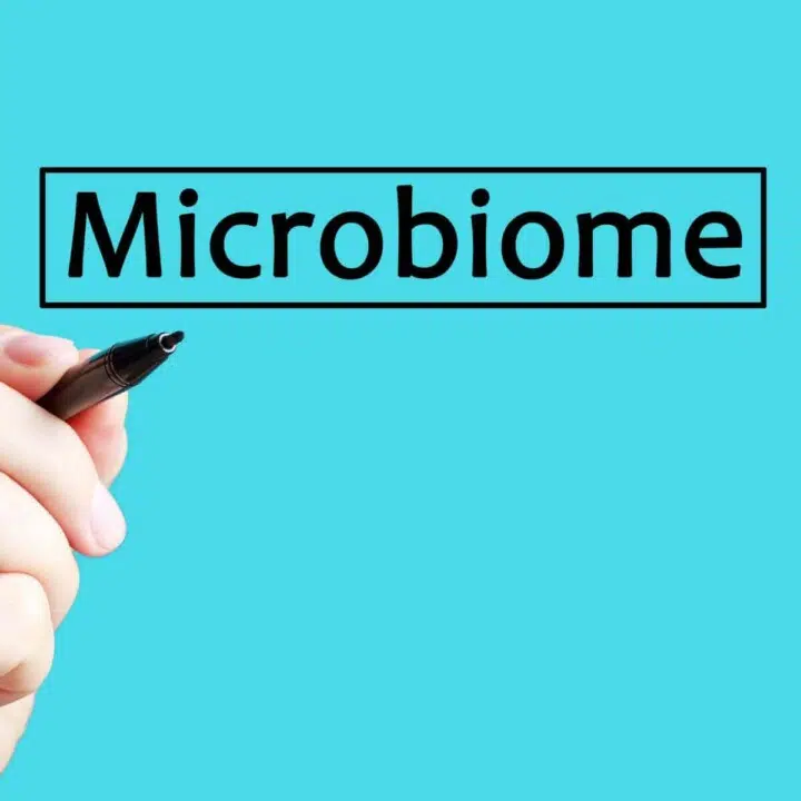 how to heal gut microbiome