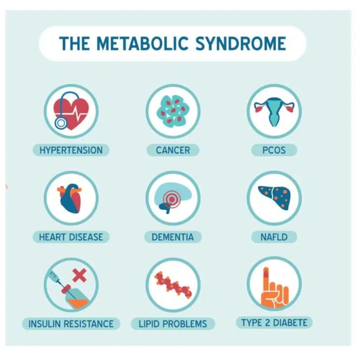 metabolic syndrome and gut health