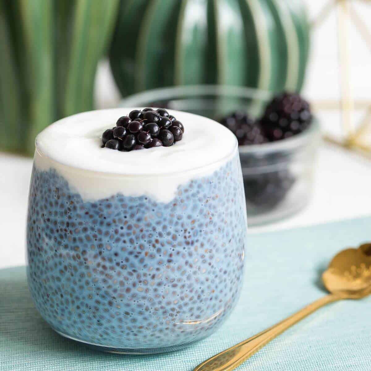 Chia seed pudding recipes