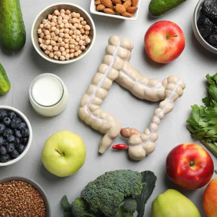 The Gut Microbiome and Anti-Aging Strategies