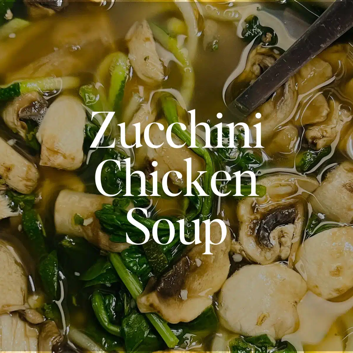 Zucchini Chicken Soup