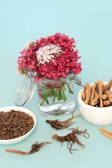 Adaptogenic Herbs: Most Powerful Tool in Holistic Health