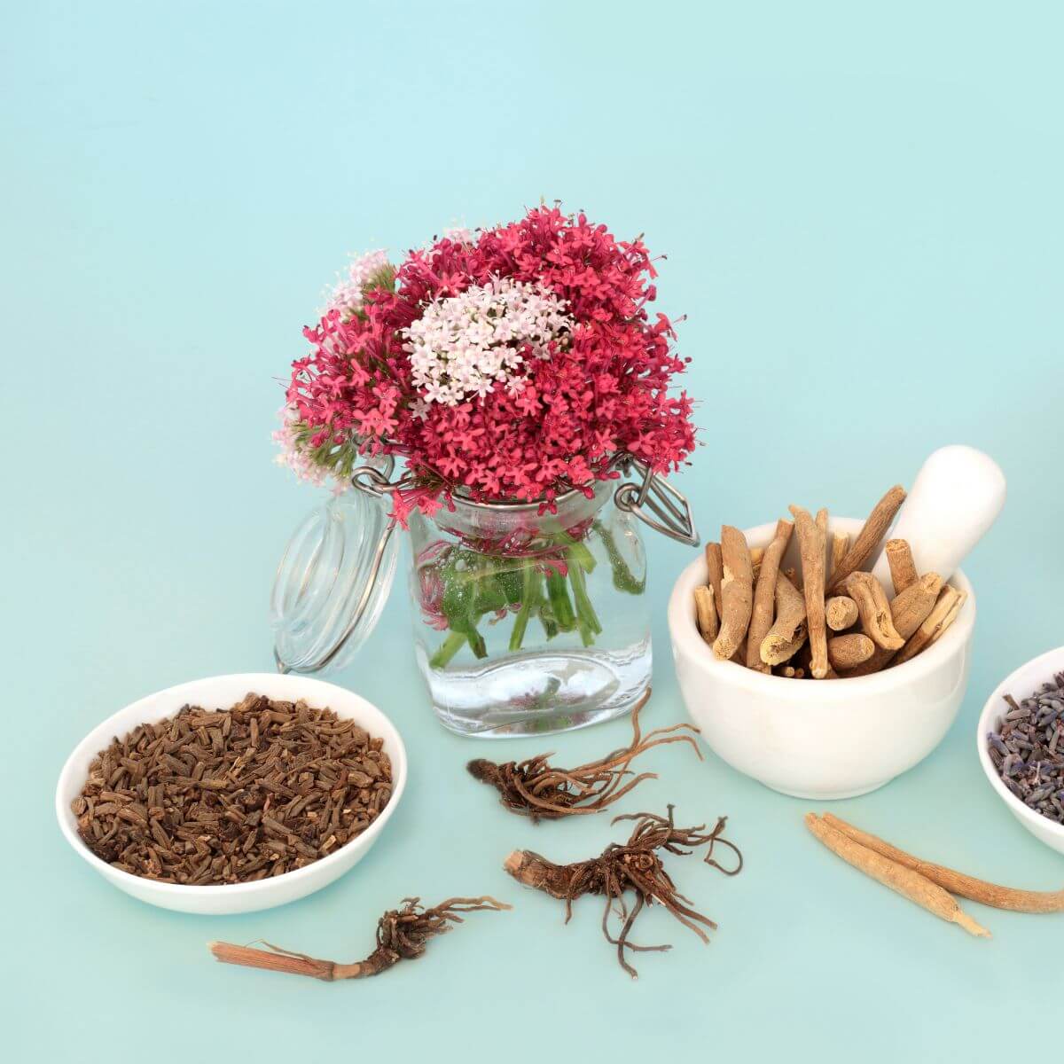 Adaptogenic Herbs: Most Powerful Tool in Holistic Health