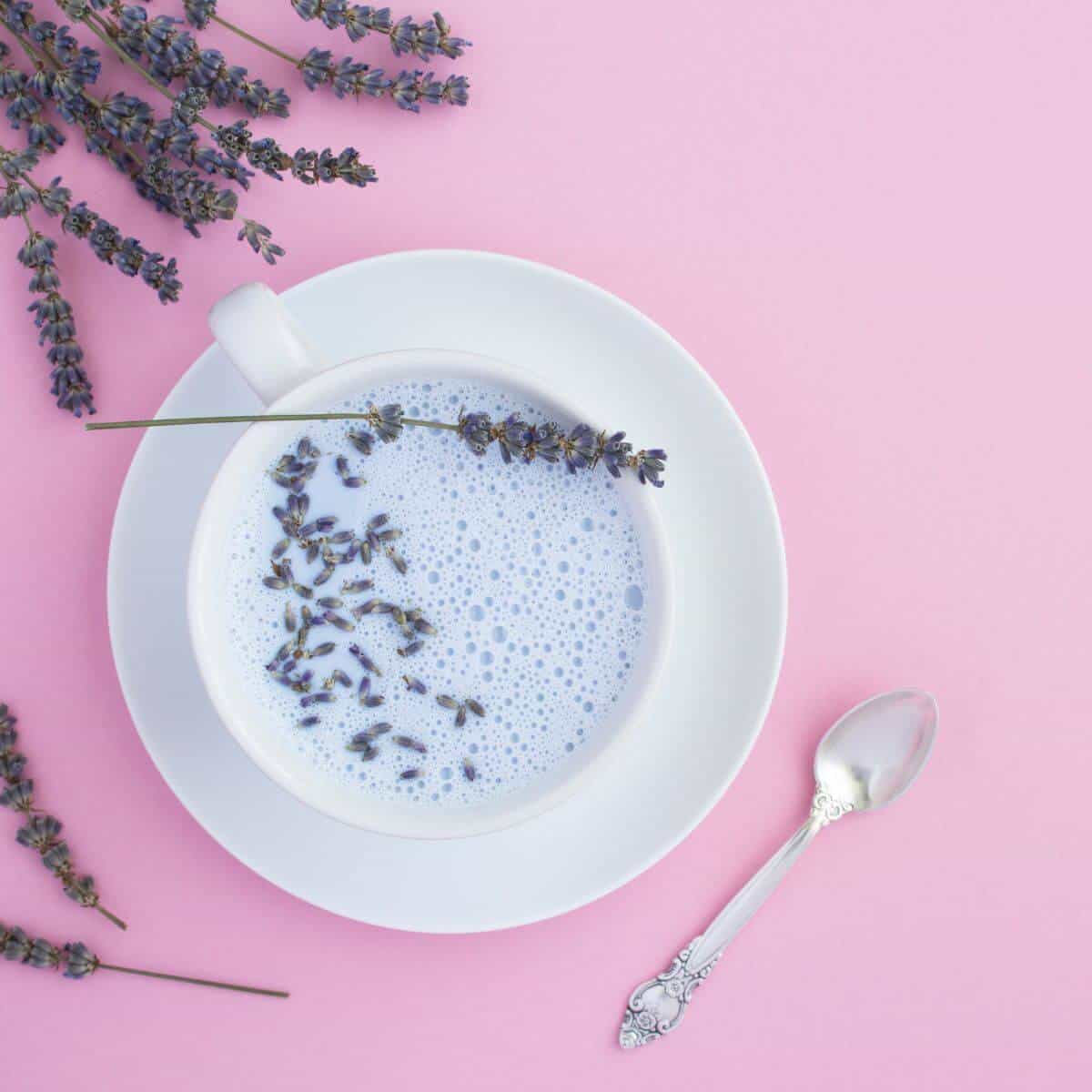 Blueberry moon milk recipe with adaptogens
