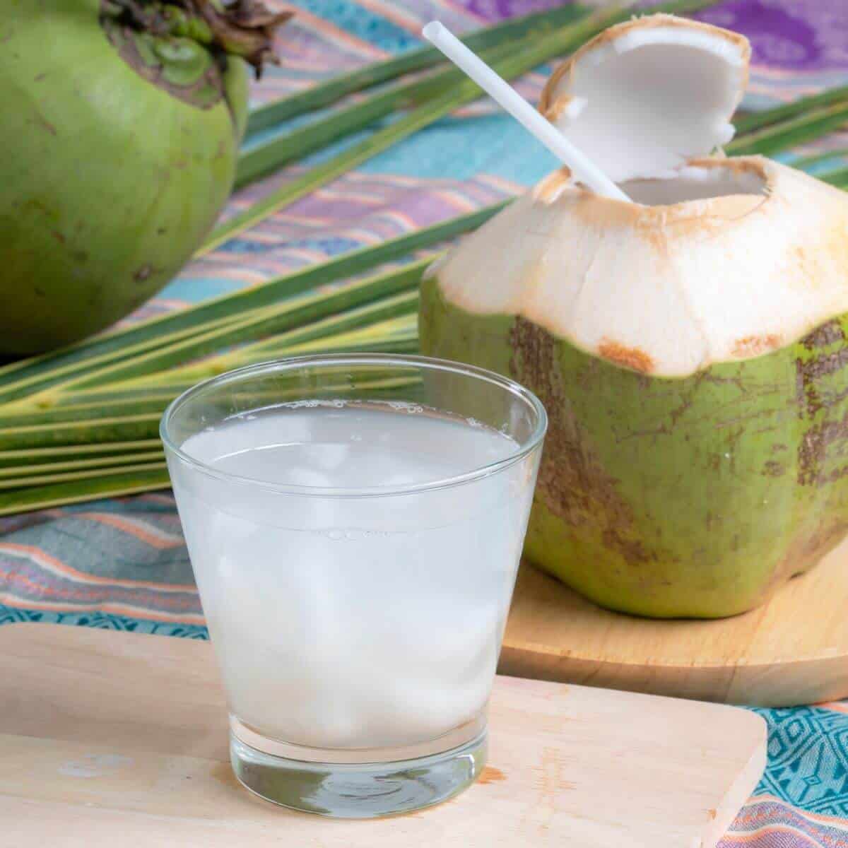 coconut water electrolyte recipe