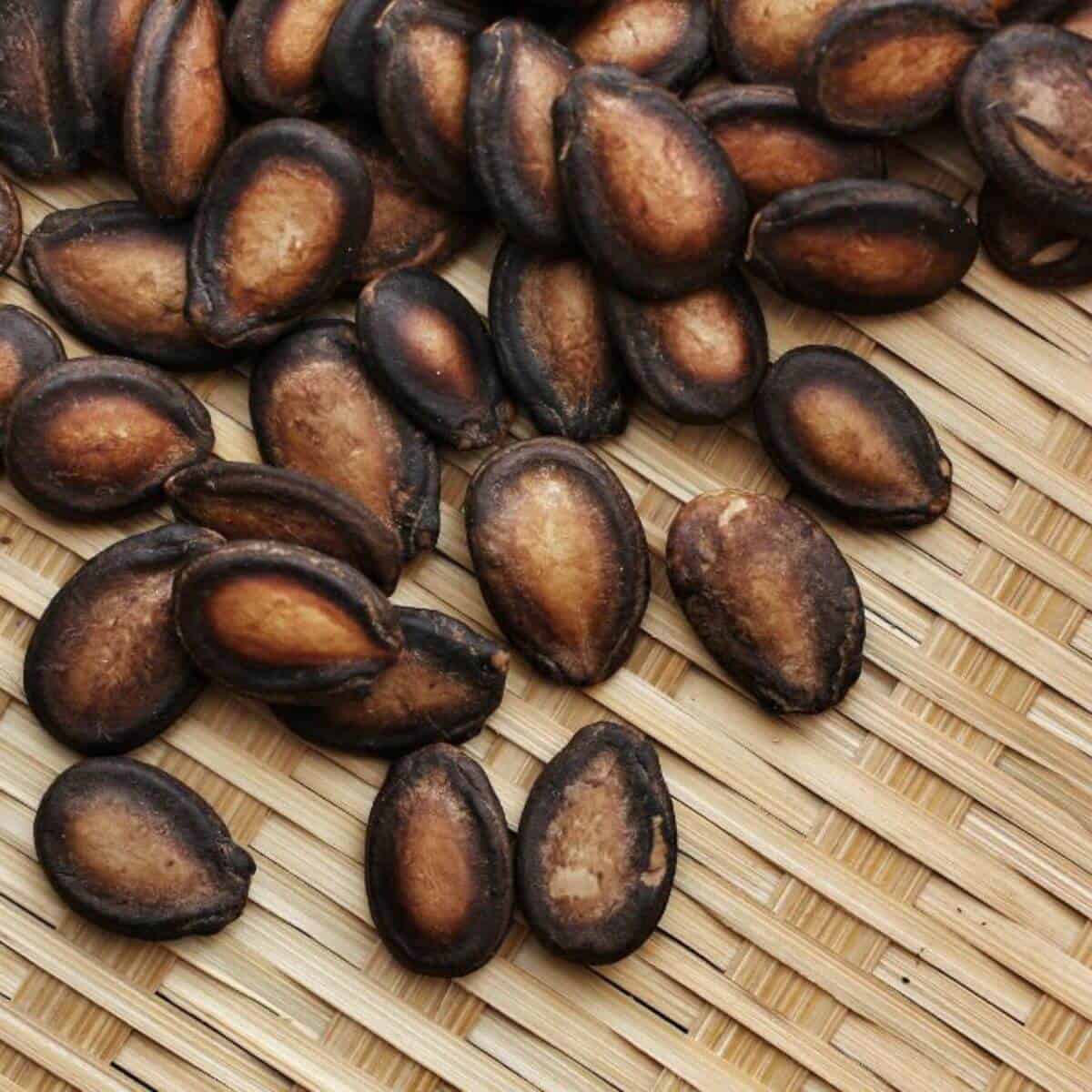 Benefits of eating watermelon seeds.