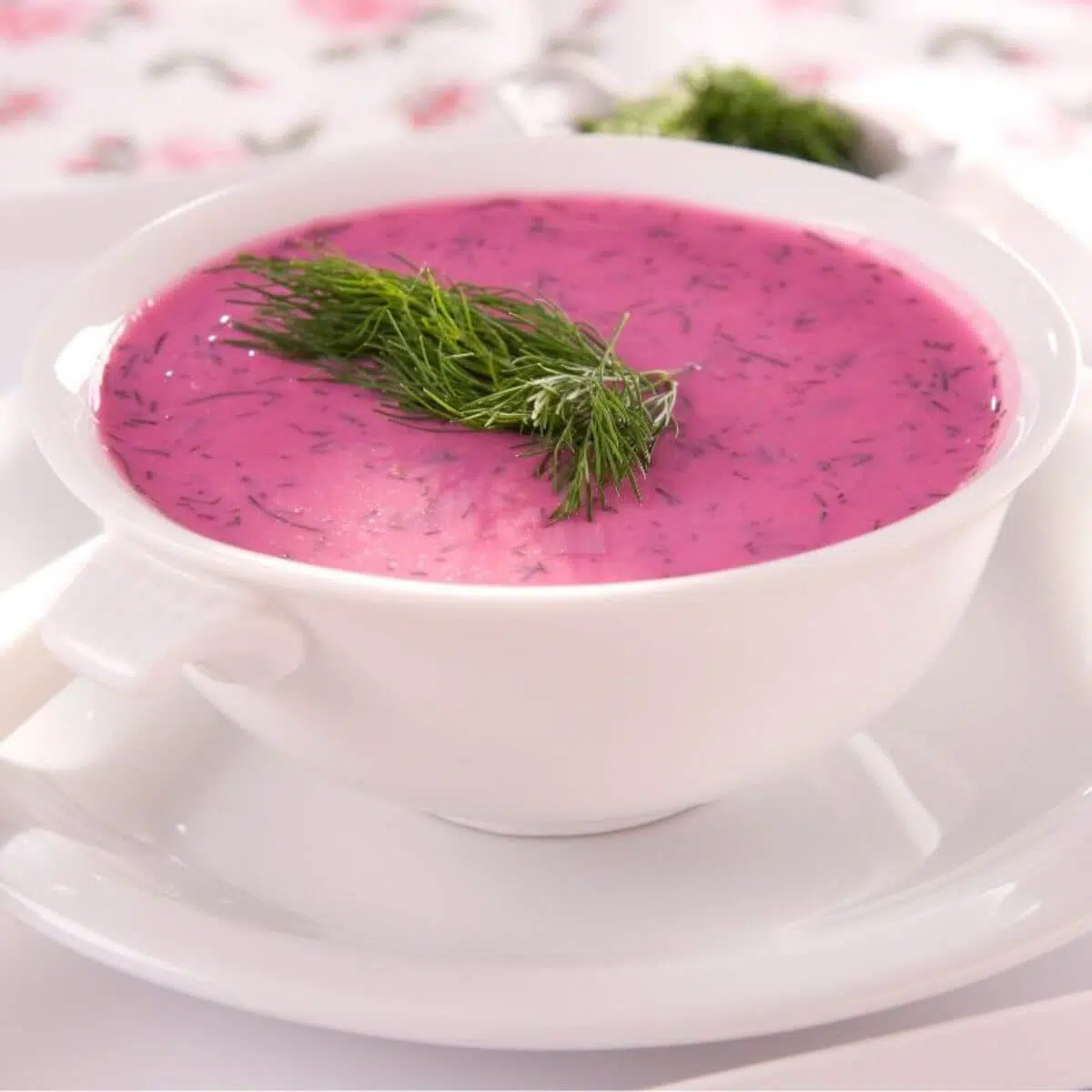 Fennel, Beet & Ginger Borscht Soup Recipe