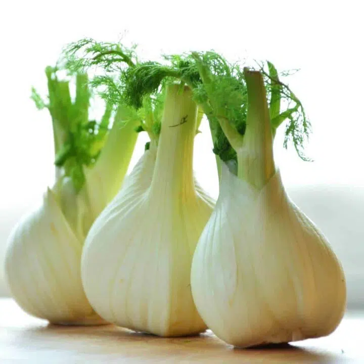 Fennel Vitamins, Health and Beauty Benefits