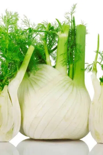 Is Fennel Healthy? What are the Benefits of Eating Fennel?