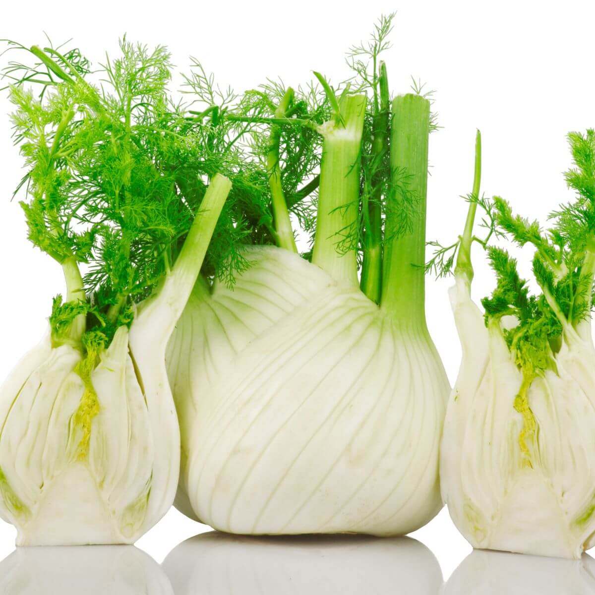 Is Fennel Healthy? What are the Benefits of Eating Fennel?