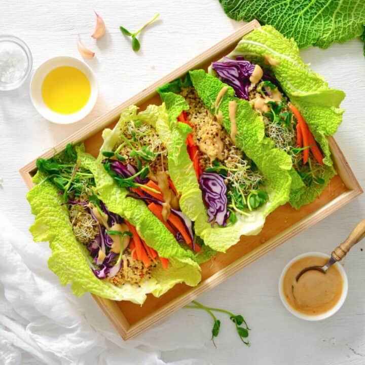 autoimmune anti inflammatory diet recipe of rainbow lettuce wrap