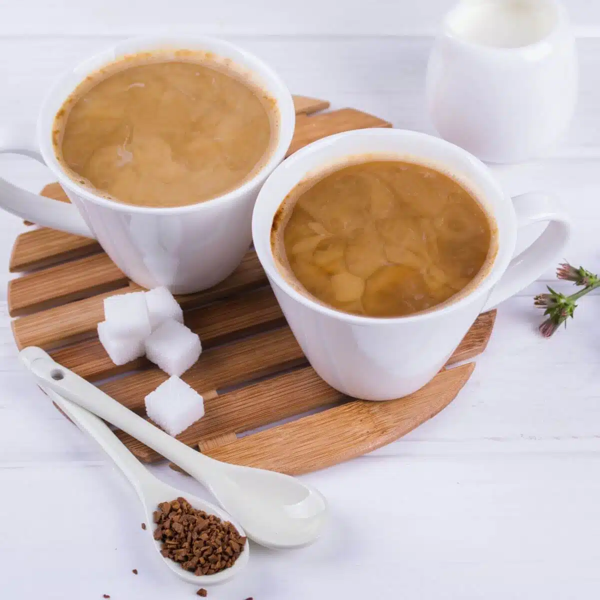 Chicory Root Coffee Recipe With Many Health Benefits!