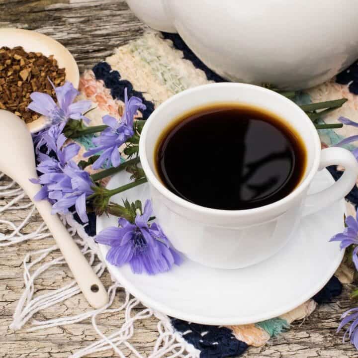 Chicory root coffeee an alternative to coffee and enhance natural butyrate production