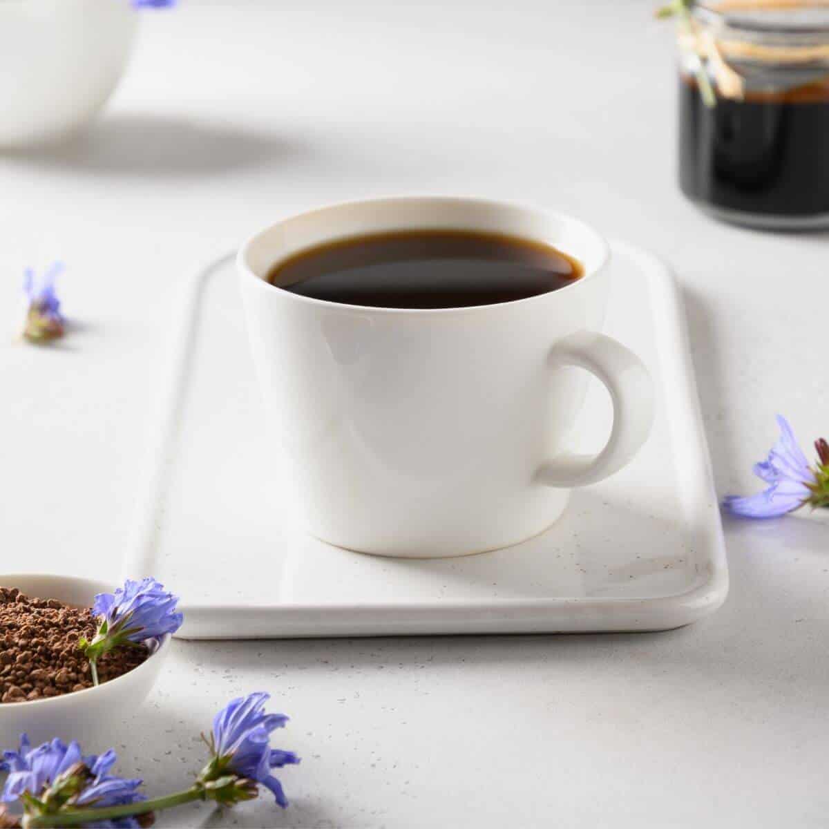 How to make chicory root coffee?