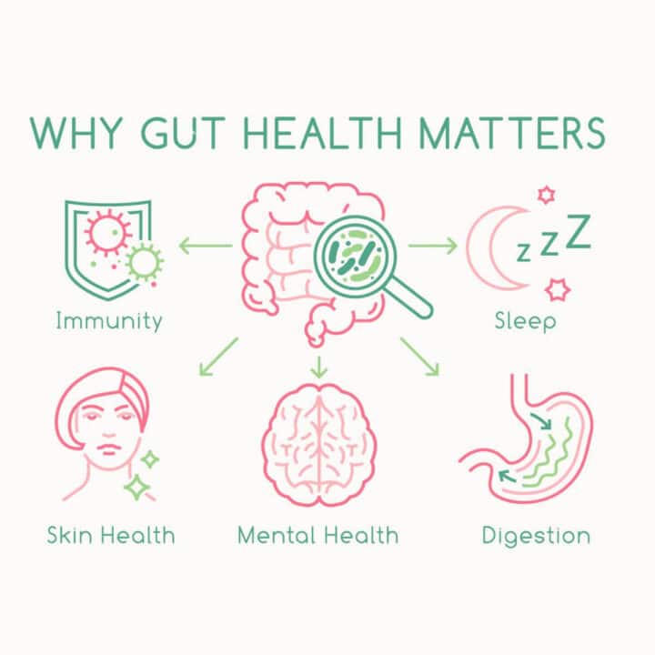 Why gut health matters
