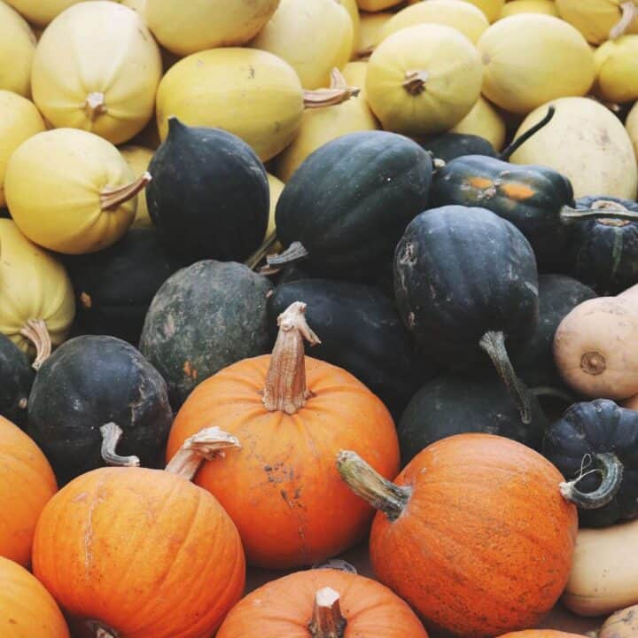 Bringing It All Together: Building Gut Health with Superfoods