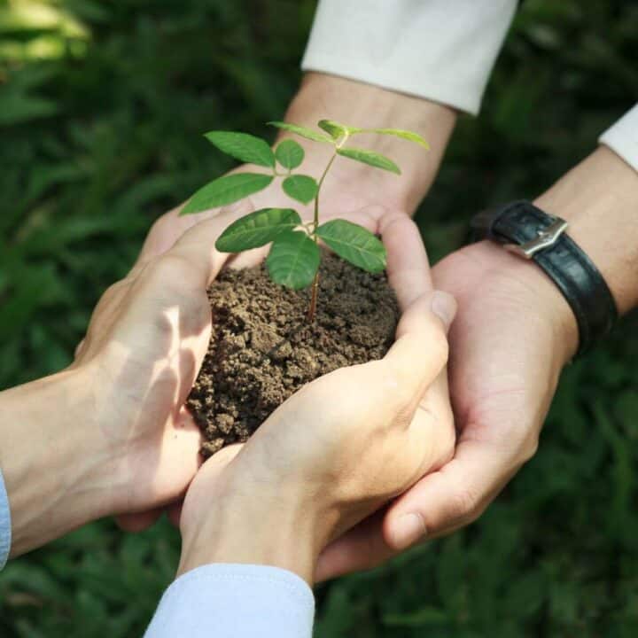 Commit to Sustainability leads to healthy well-being.