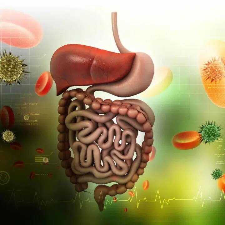 natural digestion remedies