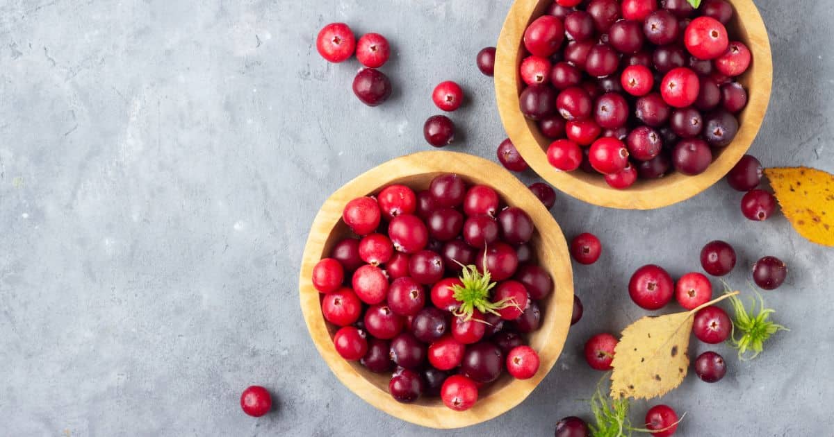 Cranberry Nutrients: Top 9 Powerful Health Benefits You Need