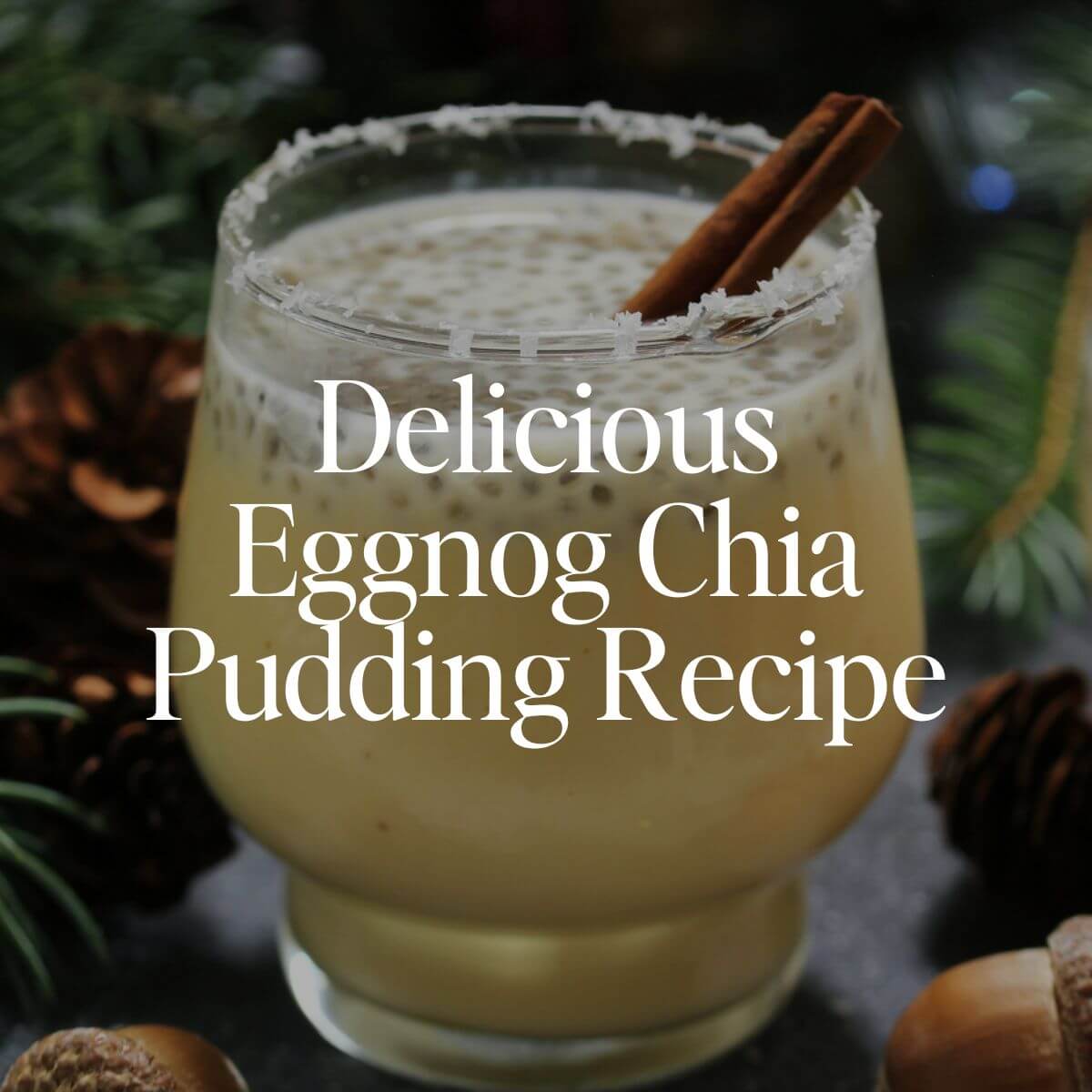 Delicious Eggnog Chia Pudding Recipe