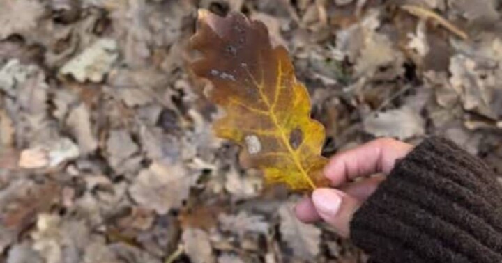 10 Healthy Habits - Holistic Winter Wellness Tips