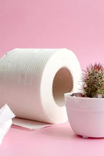 Effective Constipation Tips: How to Relieve Constipation Naturally