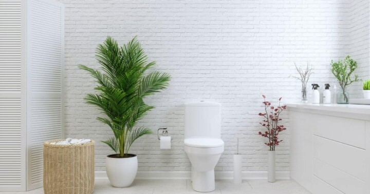 Effective Constipation Tips for Natural Relief and Health