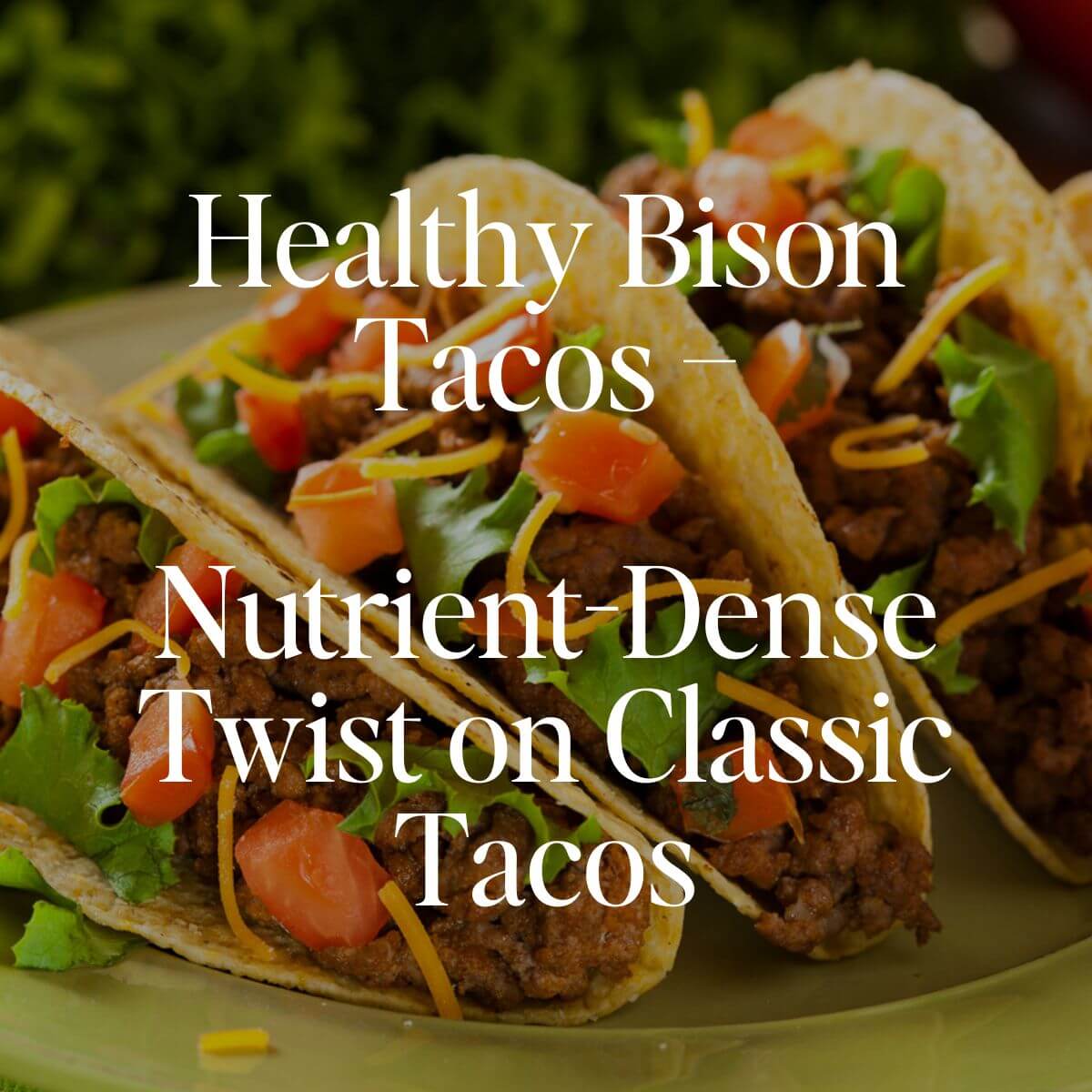 Healthy Bison Tacos – A Nutrient-Dense Twist on Classic Tacos