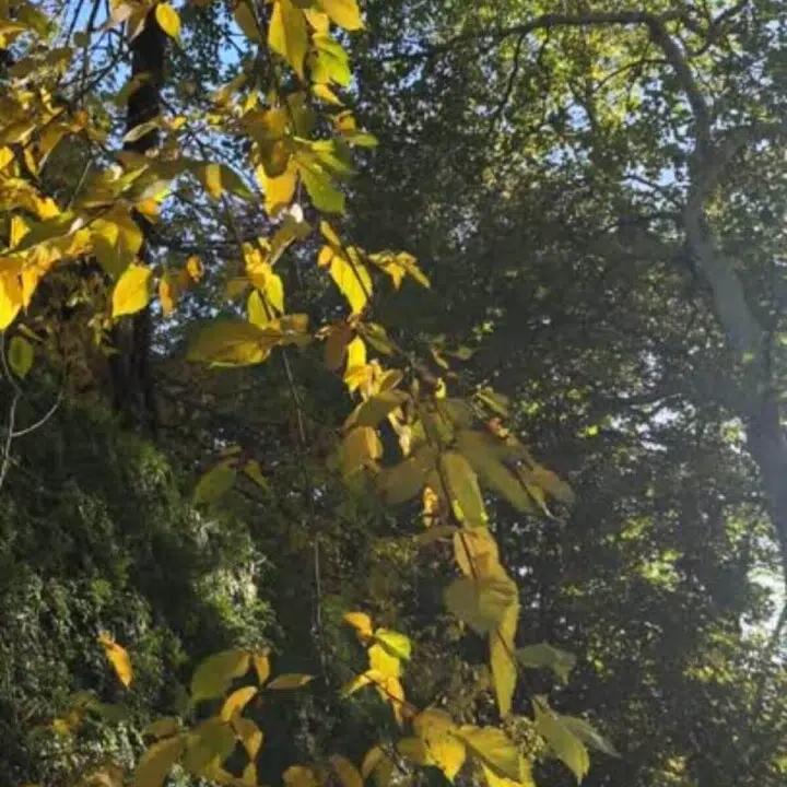 Optimize Vitamin D Levels, another healthy habit for winter