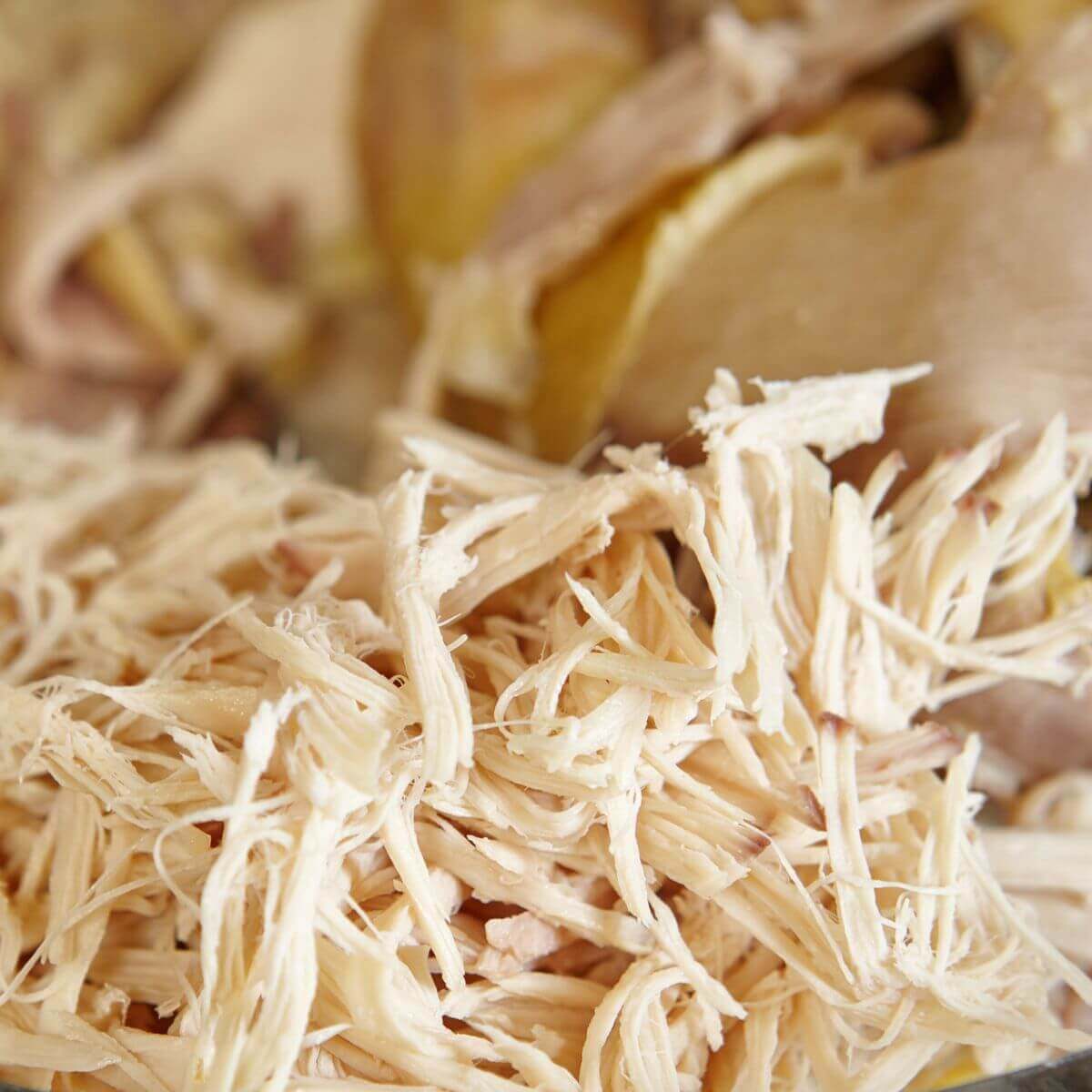 shredded chicken