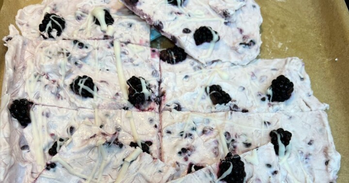 Easy Blackberry Frozen Yogurt Bark - Gut Healthy Dessert