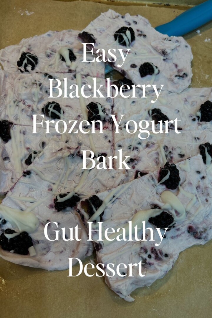 Easy Blackberry Frozen Yogurt Bark - Gut Healthy Dessert