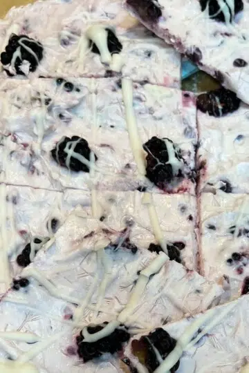 Easy Blackberry Frozen Yogurt Bark - Gut Healthy Dessert