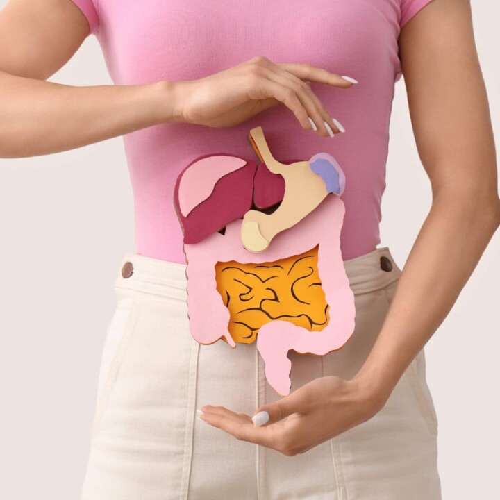 Effective 10 Gut Health Tips for Better Digestive Wellness