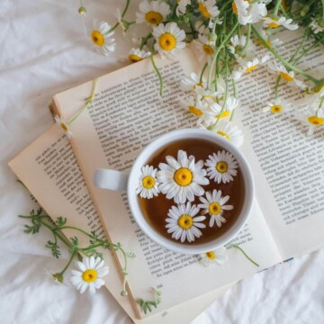 Wellness Insights: Holistic Health & Balanced Living