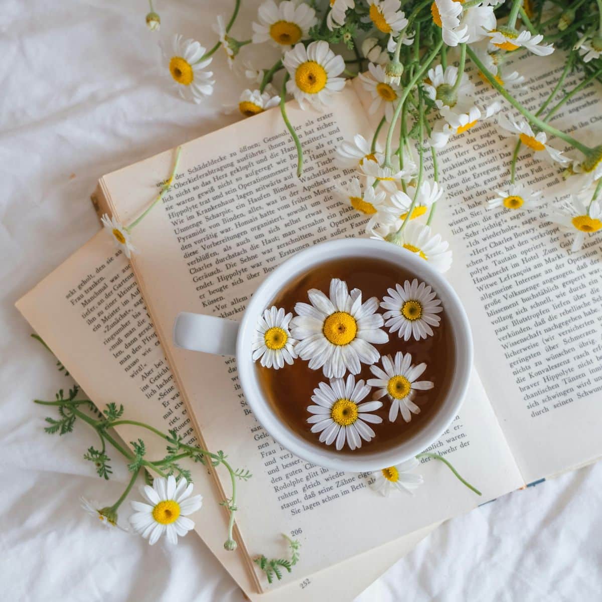 Final Thoughts: Refresh Your Wellness Naturally This Spring with healthy spring tips