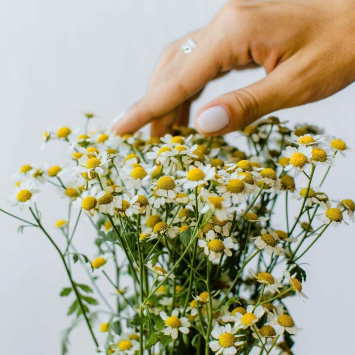 Why Spring is the Ideal Time for a Wellness Reset with these spring tips?