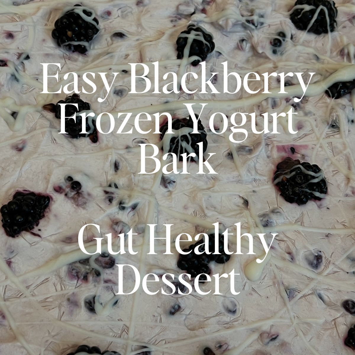 blackberry frozen yogurt bark recipe
