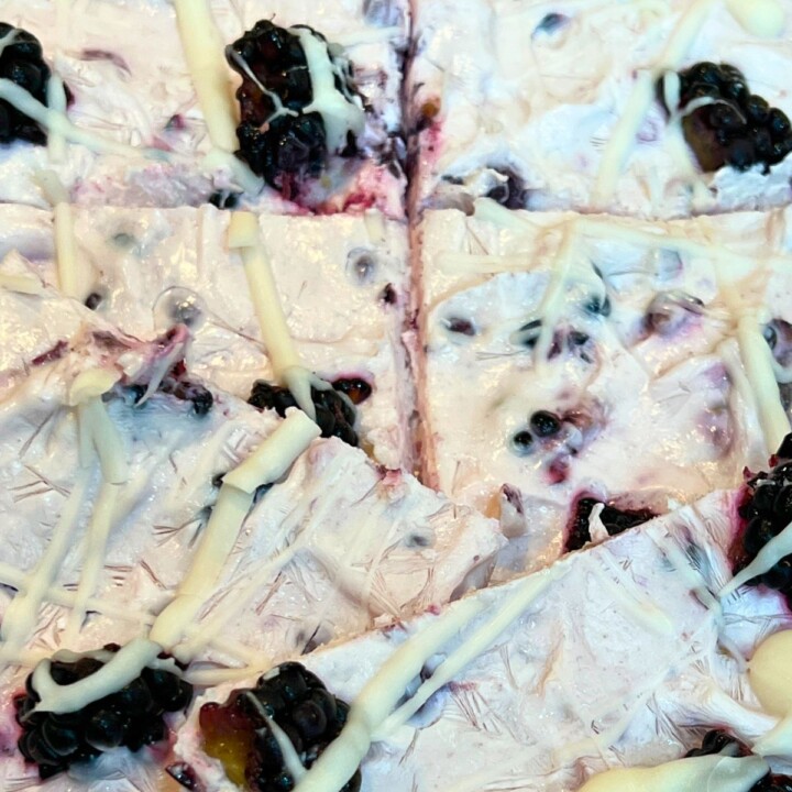 blackberry yogurt bark