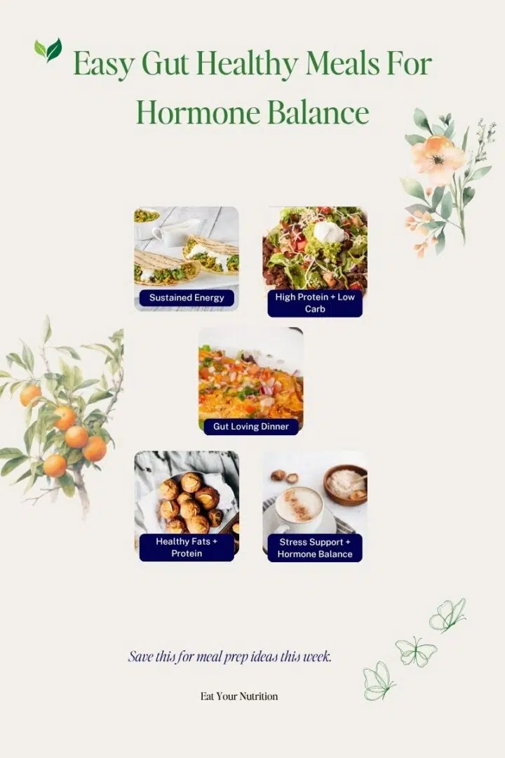 Easy Gut Healthy Meals For Hormone Balance