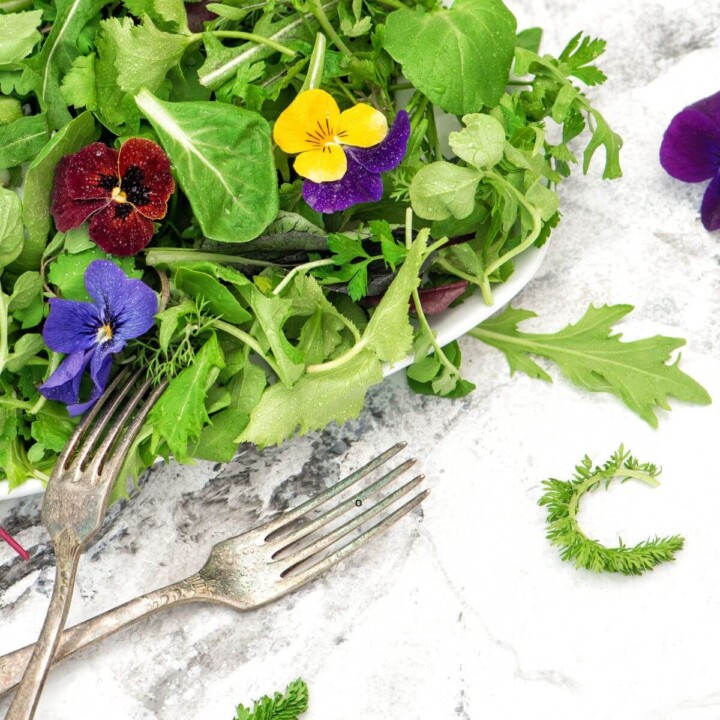 rhythm-based wellness to open detox pathways