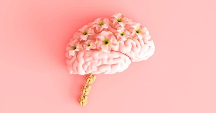 Better Mindset: The Key to Your Nutrition Journey