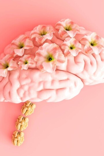 Better Mindset: The Key to Your Nutrition Journey