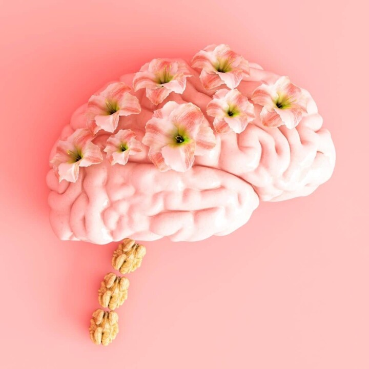 Better Mindset: The Key to Your Nutrition Journey