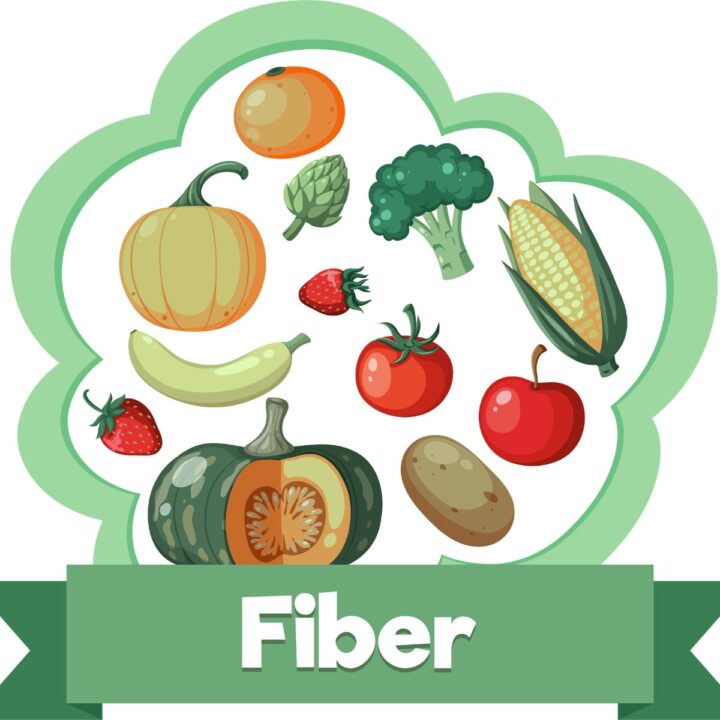 high fiber plant foods list